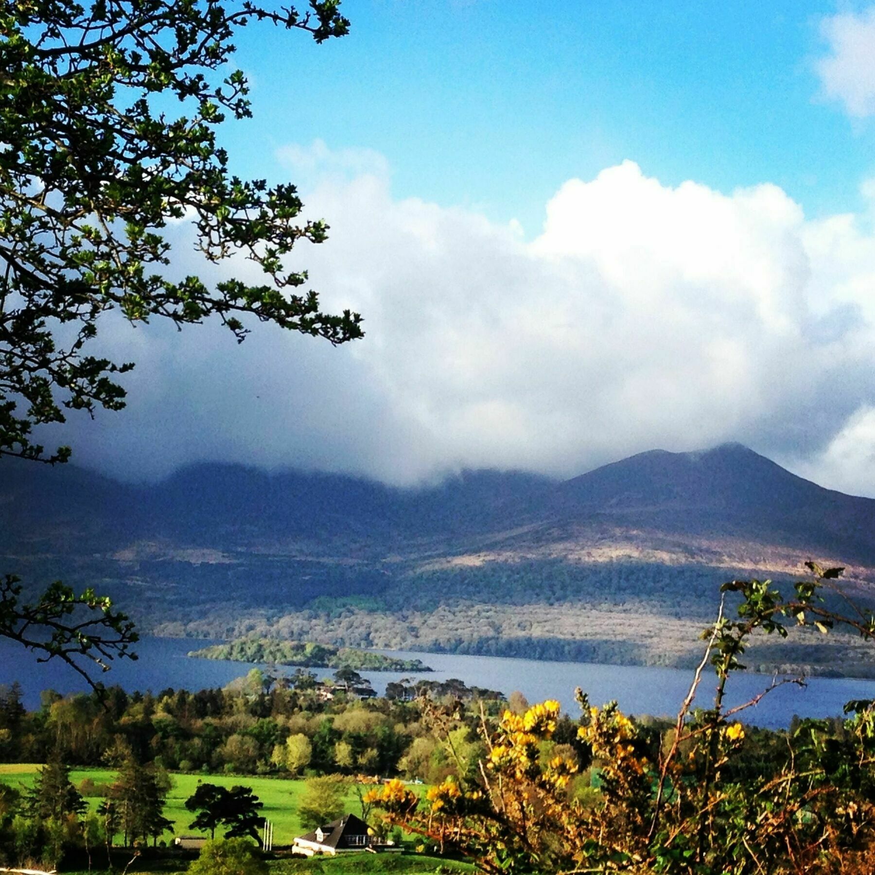 Innisfallen Hotel Fossa Dış mekan fotoğraf